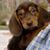 Bonnie Smith's profile image