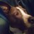Mary Davis-Hammons's profile image