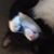 Cynthia Clark Swart's profile image