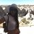 Angela Jimenez's profile image