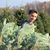 Leslie Pritchett Mertz's profile image