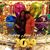 Cristina Cruz Go's profile image