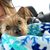 Stacy Murad Hoesing's profile image