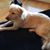 Melody LaMonica's profile image