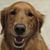 Sandy Starrett Turmail's profile image