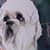 Arlene Hughes's profile image