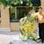 Andrew Lau's profile image