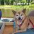 Tracy Griggs's profile image