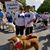 Susan Jackson's profile image