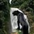 Claudia De Sousa Dias's profile image