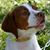 Shelly Nelson Wenberg's profile image