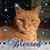 Michelle Glosson's profile image