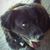 Toto Totito's profile image