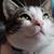 April Alsobrook's profile image