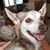 Shawna Matzkiw's profile image