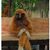 Teresa N. Brown's profile image