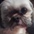 Kristin Brantley's profile image