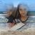Sharnae Eslinger's profile image