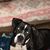 Rachael Schlieger's profile image