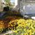Susan Hamlin Vail's profile image