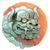 Matteo Martinez's profile image