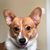 Susan Eisenreich's profile image