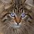Peggy Broussard Ney's profile image