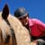 Sarah Hulsey Smith's profile image