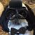 Lina Garcia's profile image