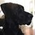 Tammy Perkins's profile image