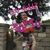 Meri Rodriguez's profile image