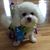 Judy Ostroff Litwak's profile image