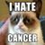 Michael Veres's profile image