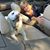 Cindy Randall Lamir's profile image
