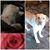 Gail Griffin's profile image