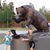 Nichole Rioux's profile image