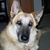 Tonja Weed's profile image