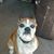Sue Rellergert-Asfour's profile image