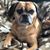 Dawn Motola's profile image