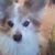 Rebecca Hastings's profile image