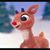 Carol Wheeler's profile image