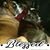 Melinda Brummitt's profile image