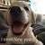 Leanne Carlson Hutt's profile image