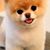 Margaret L Roberts's profile image