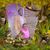 Teo Alderson's profile image