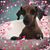Rita Spinelli Nelson's profile image