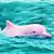 Carrie Dahlby's profile image