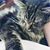 Keri Anne White's profile image