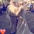 Zulma Gonzales's profile image