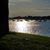 Denise M Allain's profile image